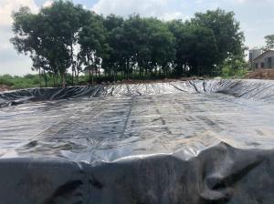 Màng Chống Thấm Hdpe 0.8mm cuộn 200m2 Cáng 3 Lớp Giá Rẻ Nhất 2023
