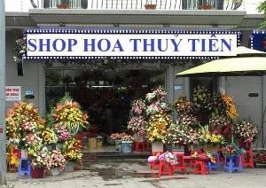 Hoa chúc mừng khai giảng thanh hóa