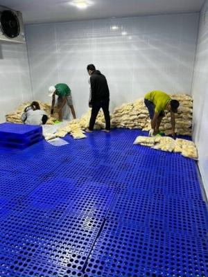 Pallet nhựa lót sàn- 1m x 0,6m x 10cm