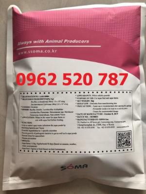 Men xử lý đáy Probiosol Hàn Quốc