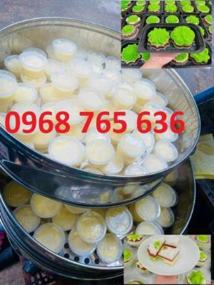 Nồi hấp bánh caramen, flan, bánh bao công nghiệp (đường kính 52cm)