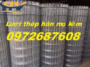 Lưới thép hàn mạ kẽm, lưới thép ô vuông dây 2ly, 3ly mắt 50*50