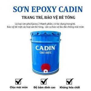 CADIN - Sơn Epoxy cho bê tông màu bóng – A213