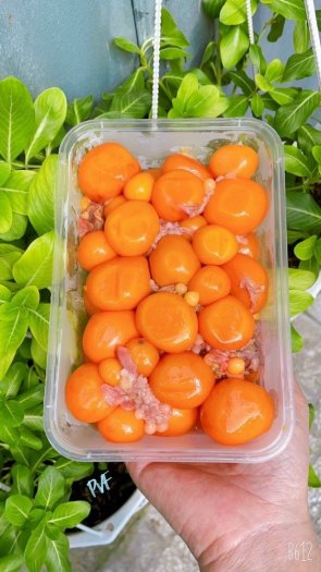 Trứng Gà Non 1 ký ưu đãi 1 tuần