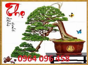 Tranh gạch 3d cây cảnh - SXBB65