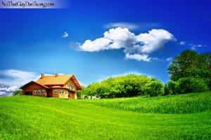 Tranh gạch 3d hoa cỏ - SXC443