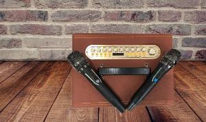 Loa xách tay AT20 Karaoke di động kèm 2 micro UHF chống hú