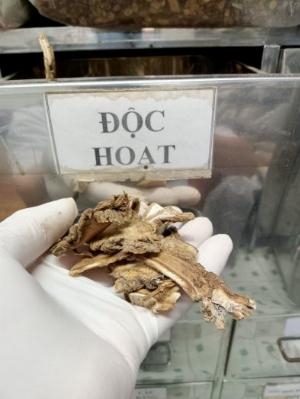 Thảo Dược Nam Bắc