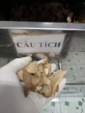 Thảo Dược Nam Bắc