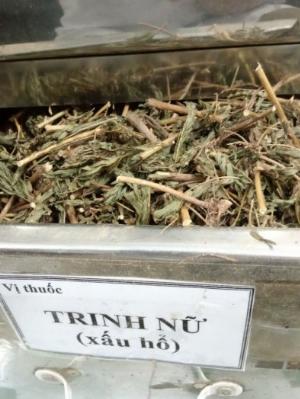 Dược liệu Bắc Nam