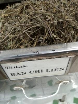 Dược liệu Bắc Nam