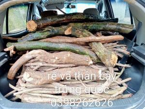 Hạt giống cây Trứng Quốc, Trứng Rùa