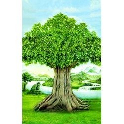 Tranh gạch 3d cây bồ đề - DAZ22