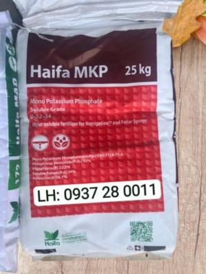 Haifa MKP (Mono Potassium Phosphate) 0-52-34