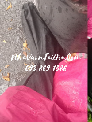 Bọc giày đi mưa cao cấp 093 869 1586