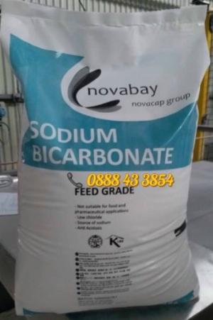 Sodium Bicarbonate (NaHCO3)