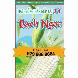 Hạt giống bắp nếp Bạch Ngọc lai F1 gói 500 gram
