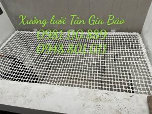 Lưới an toàn đọc sách