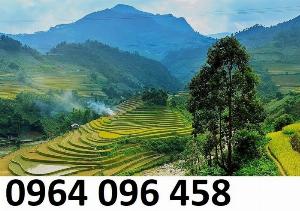 Tranh 3d - tranh gạch 3d - gạch tranh 3d - ALMB55