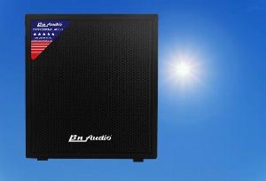 Loa Sub BN Audio SW2 phù hợp phòng Karaoke kinh doanh, gia đình