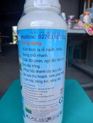 Đạm cá hồi 100%