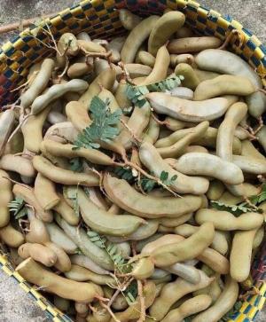 Mua bán me xanh, trái me tươi, me ngâm đường