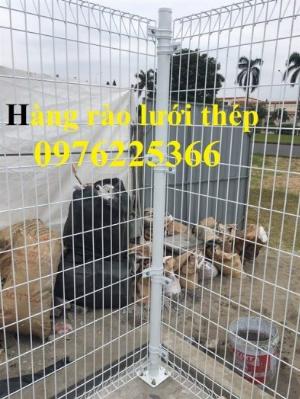 Hàng rào lưới thép mạ kẽm, lưới thép hàng rào mạ kẽm giao hàng toàn quốc