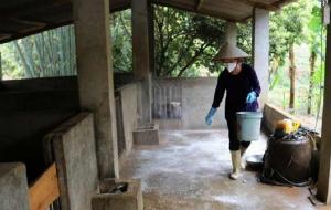 Vôi bột khử trùng chuồng trại
