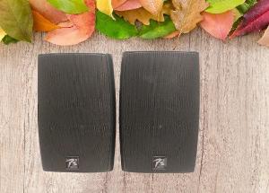 Loa treo tường PS Audio F-550 chuyên cho dòng nhạc nhẹ, hay đọc thông báo