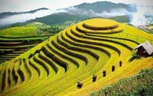 Tranh gạch 3d ruộng bậc thang - KMNNN75