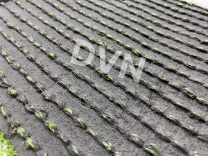 Cỏ sân vườn DVN S11S-30411-XN