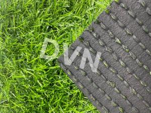 Cỏ sân vườn DVN S11S-30411-XN