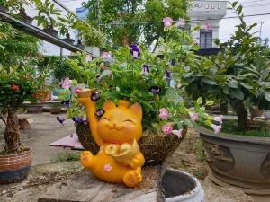 Mèo Phát Tài Quý Mão