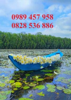 Xuồng nhựa meca, Xuồng câu, Xuồng 3 lá giá rẻ
