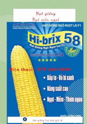 Hạt giống ngô ngọt lai F1 Hi-Brix 58