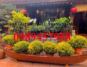 Mẫu thuyền gỗ trang trí, Thuyền gỗ chèo tay