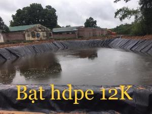 Bạt lót hồ ao tôm hdpe 0.8mm cuộn 200m2 khổ 4mx50m sản phẩm thiết yếu cho nuôi trồng thủy sản
