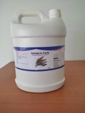 Bổ Gan Thảo Dược Ấn Độ - Tăng Sức Đề Kháng - Hạn Chế Bệnh