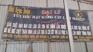 Hạt giống cây xoan đào, xoan hôi