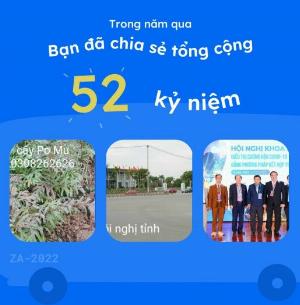 Hạt giống cây Mỡ