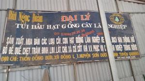 Hạt giống cây Mỡ