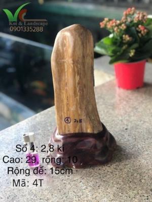 Đá gỗ hóa thạch