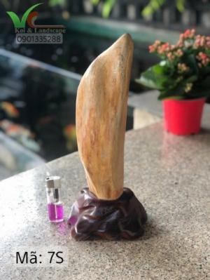 Đá gỗ hóa thạch