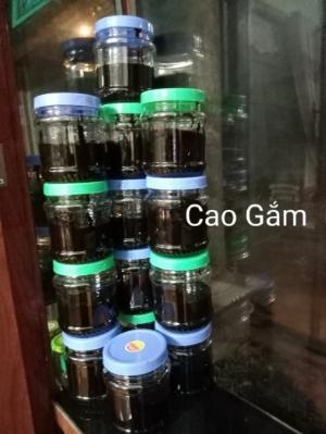 Cao dây gắm hỗ trợ gút