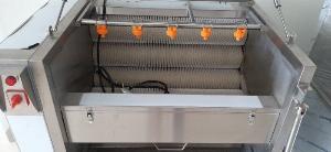 Máy rửa gừng, máy rửa khoai tây/khoai môn, máy rửa củ quả QX608