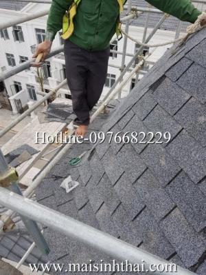 Những ưu điểm của sử dụng Ngói Bitum Phủ Đá trong xây dựng