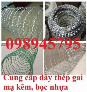Kẽm gai chống trộm 45cm tại Vũng Tàu