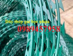 Kẽm gai Certina, Kẽm gai bùng nhùng, Kẽm lam