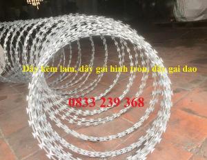 Kẽm gai Certina, Kẽm gai bùng nhùng, Kẽm lam