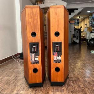 Loa TANNOY D500 American Cherry
